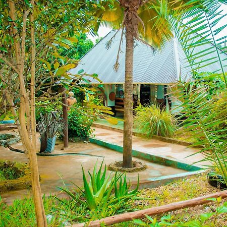 Mwana House Bed & Breakfast Nungwi Exterior foto